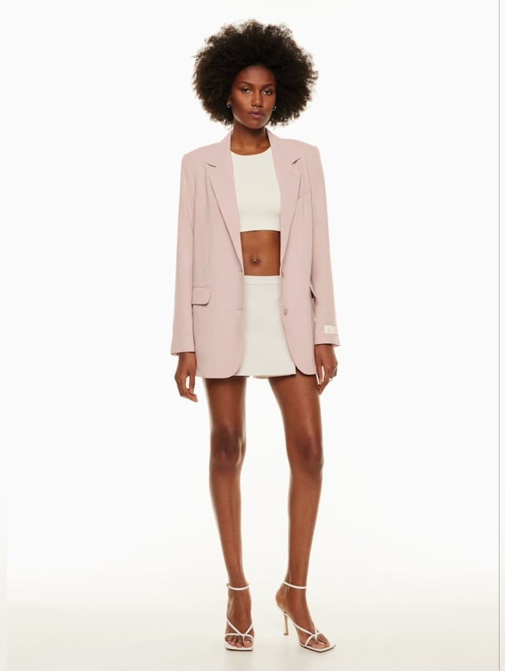 NWT Aritzia Babaton Agency Blazer